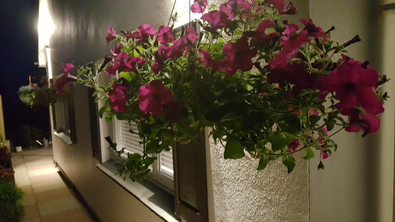 Marthys House With Hot Tub Looe Villa Екстериор снимка